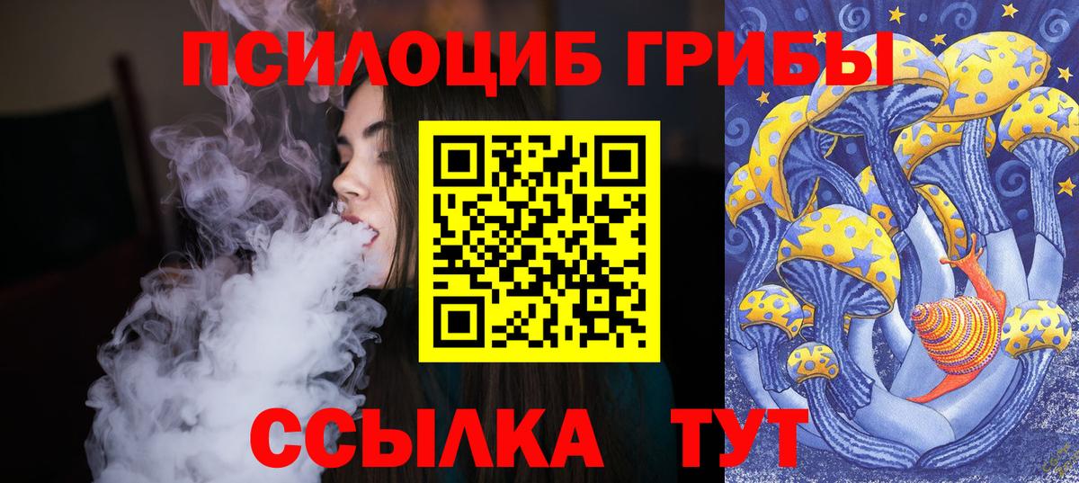 Галлюциногенные грибы MAGIC MUSHROOMS  Вход с VPN  Прокопьевск 