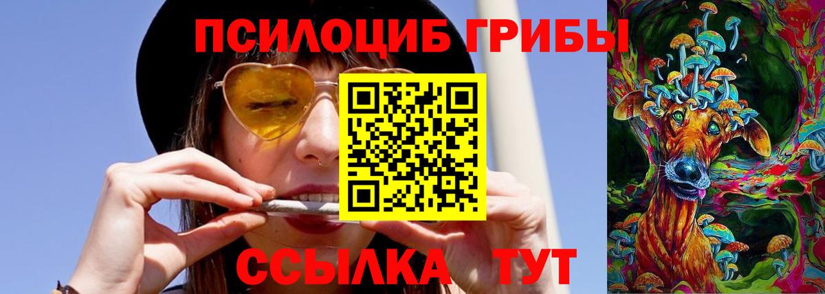 Галлюциногенные грибы GOLDEN TEACHER Прокопьевск